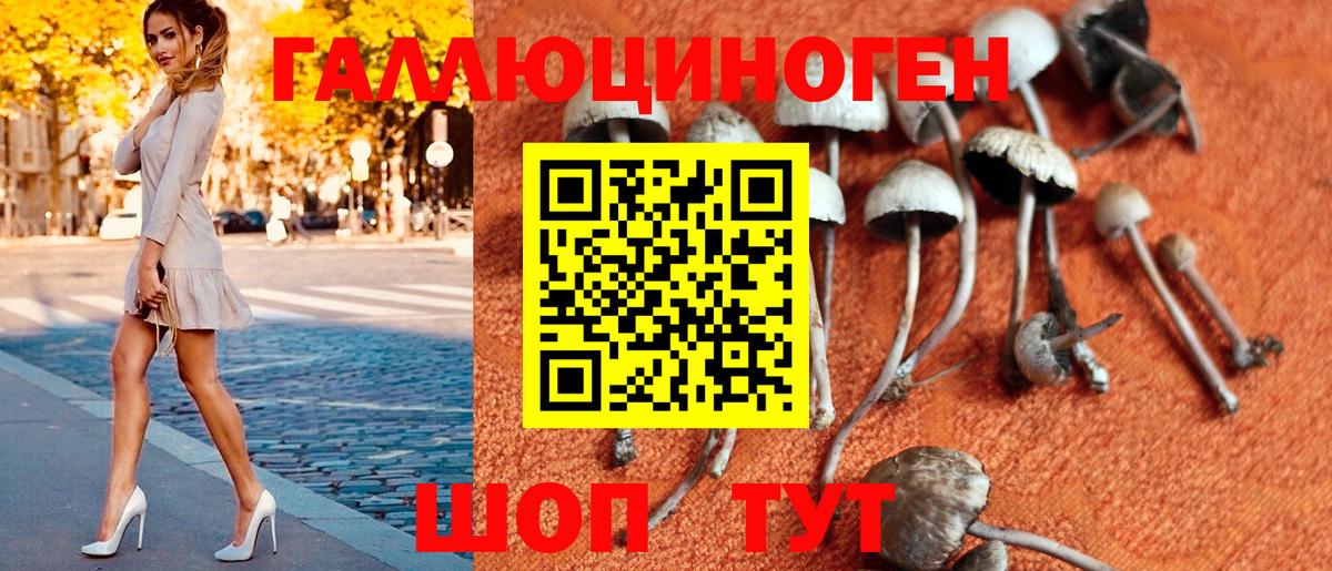 Добрянка  Галлюциногенные грибы MAGIC MUSHROOMS  Вход с VPN 