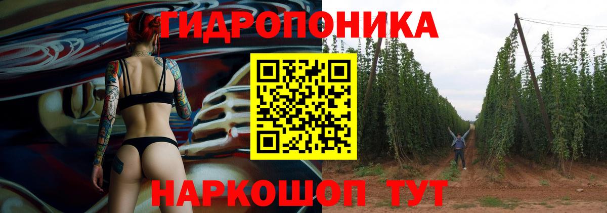 Конопля планчик Добрянка
